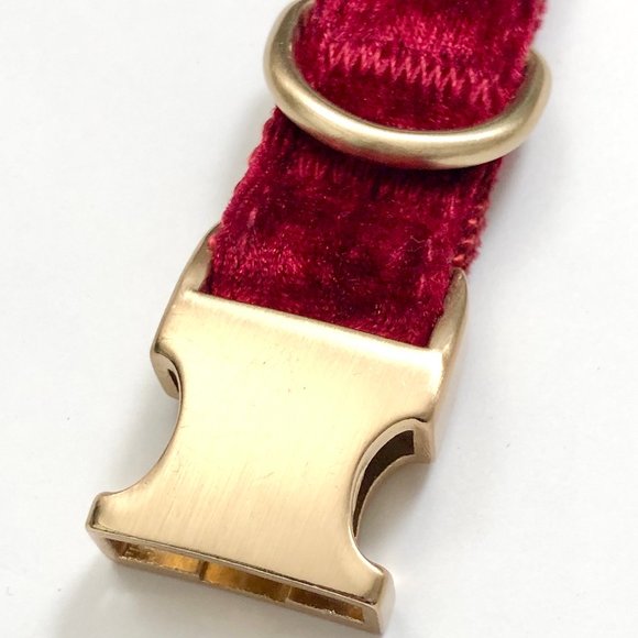 Bond Co. Cute Collar for DOGS - Picture 1 of 8